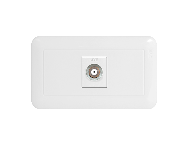 大面板一電視插座 1